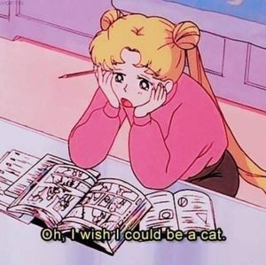 Meet your Posher, Chelbie